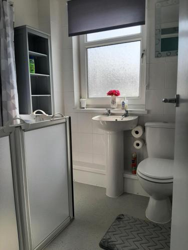a bathroom with a toilet and a sink and a window at The Swansea View in Skewen