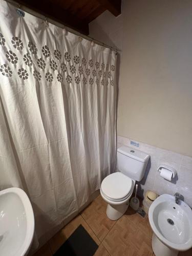 y baño con aseo, lavamanos y cortina de ducha. en Alamos del Arroyo en San Martín de los Andes