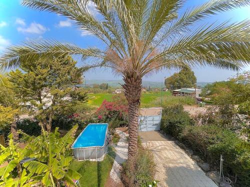 een palmboom en een zwembad in de tuin bij וילת שגיא - חופשה כפרית ליד הכנרת - Sagi Villa in Yavneʼel