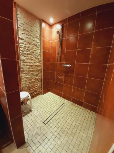 a bathroom with a shower and a tiled floor at Hôtel Le Manoir De Mathan Crépon à la campagne 5 mn d'Arromanches et 10 mn de Bayeux in Crépon