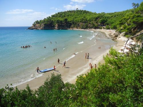 um grupo de pessoas em uma praia no oceano em Alonissos Beach Bungalows And Suites Hotel em Alonnisos Old Town