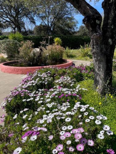 Photo de la galerie de l'établissement Domaine des Tuilières avec piscine, à Vallauris