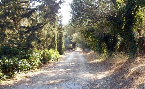a dirt road with trees on both sides at Polytropon Apartments in Kástron