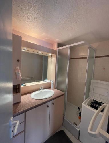 een badkamer met een wastafel, een spiegel en een wasmachine bij Charmante Villa de vacances in Cap d'Agde