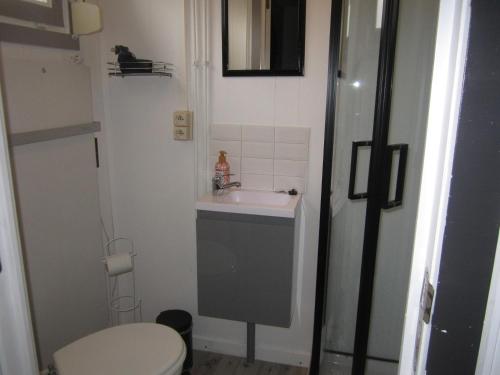 a small bathroom with a sink and a toilet at Le Petit Chalet in Resteigne