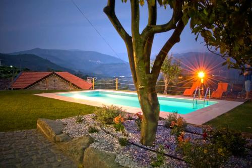 a swimming pool with a tree in a yard at Casa da Laranjeira in Barbeitos
