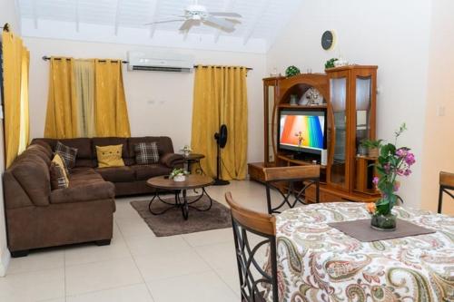 a living room with a couch and a television at Smart villa @ Richmond in Richmond
