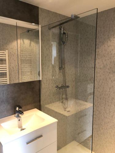 a bathroom with a shower and a sink and a tub at Apartment " LELLGEN " in Wilwerwiltz