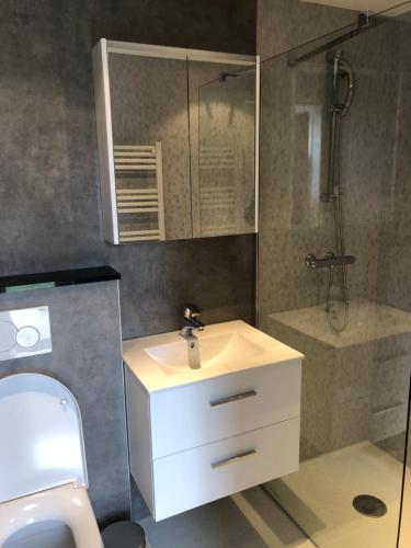 W łazience znajduje się umywalka, toaleta i prysznic. w obiekcie Apartment " LELLGEN " w mieście Wilwerwiltz