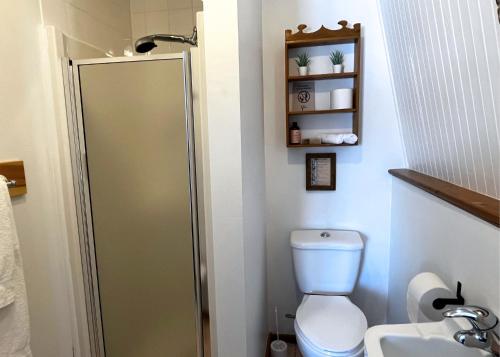 a bathroom with a toilet and a shower and a sink at Auberge musicale Pour un Instant in La Malbaie