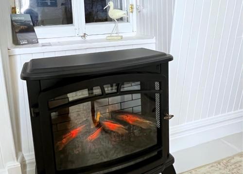 a koi in a fireplace with a fish in it at Auberge musicale Pour un Instant in La Malbaie