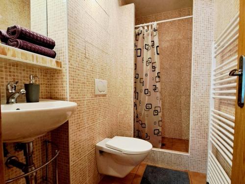 a bathroom with a toilet and a sink and a shower at Apartmán Severanka in Vysoké Tatry