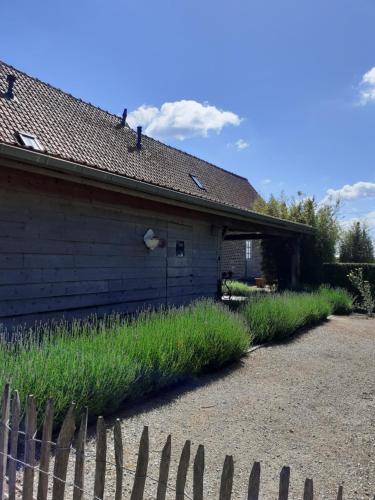 Un jardín fuera de B&B In 't Stille Weg
