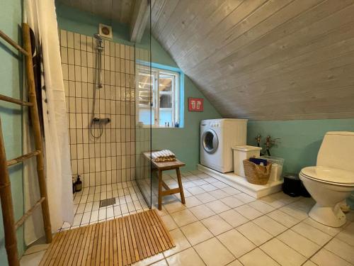 a bathroom with a toilet and a washing machine at Viking Surf Cottage in Klitmøller