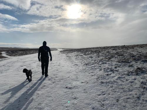 a man and a dog walking down a snow covered road at Rosie's Barn in Penrith