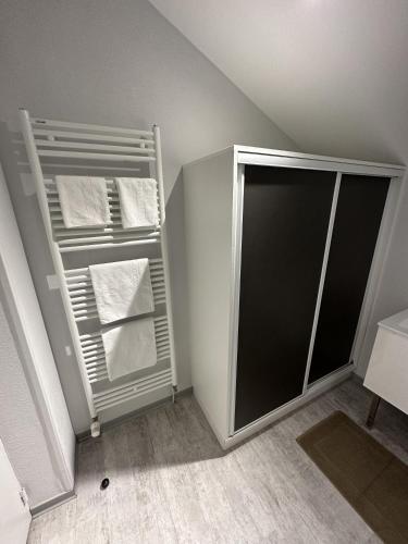 a bathroom with a towel rack and a glass door at L'Entrepotes in Rethel