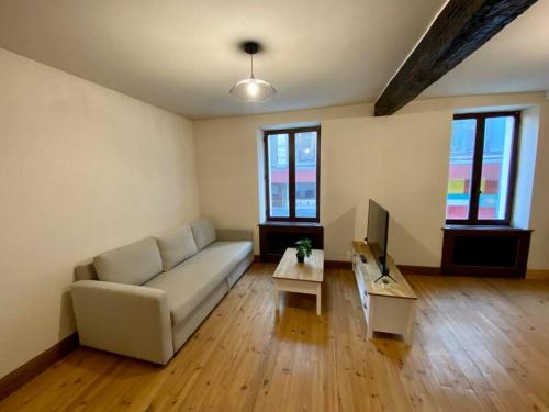 uma sala de estar com um sofá e uma mesa em Appartement de 50m2 au centre de Cusset em Cusset