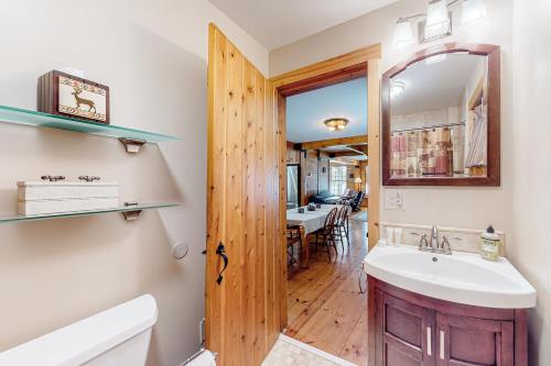 a bathroom with a sink and a mirror at Great Pond House in Belgrade