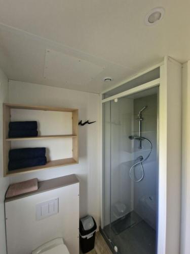 a bathroom with a shower and a toilet at Camping Les P'tites Maisons dans la Prairie in Sallertaine