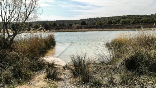 a body of water with some grass and some water at Casa Rural Los Eneares in Ossa de Montiel