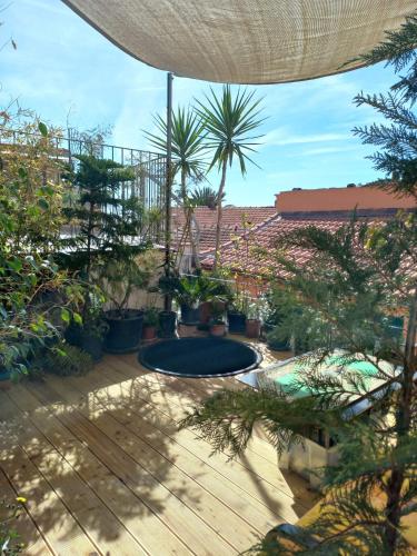 a view of a patio with palm trees and a pool at Plan B in Imperia