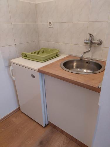 um balcão de cozinha com um lavatório e um filtro verde em Soba Ana em Cres