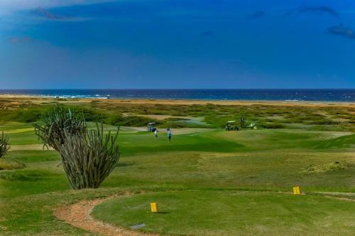 a golf course with the ocean in the background at Newly Remodeled 5-Bedroom 5-Bath in Tierra del Sol in Malmok