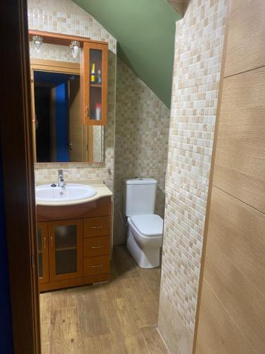 a bathroom with a toilet and a sink and a mirror at Apartamento Carmona in Carmona