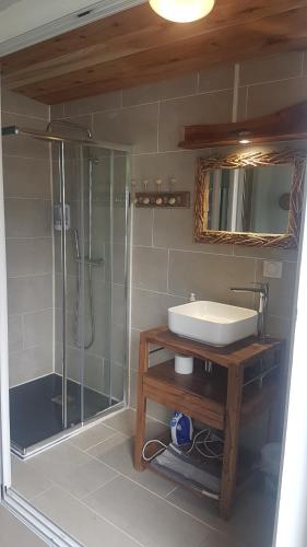 a bathroom with a sink and a glass shower at La Belle Créole in Cilaos