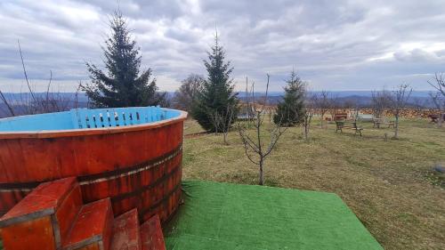 a brick wall with a blue tub in a field at Pensiune Runcu Stone in Runcu