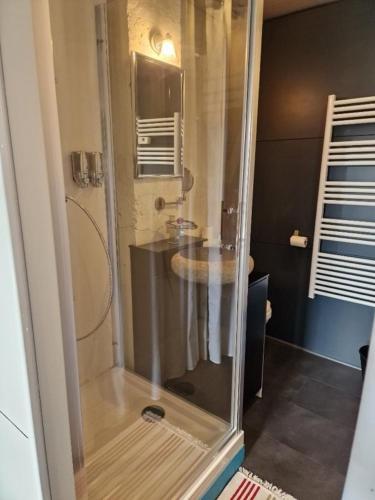 une douche en verre dans une salle de bain avec un lavabo dans l'établissement LES CERISIERS 2, à Nogaro