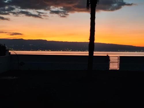 a palm tree and a bench in front of a sunset at Camera sul Mare in Messina