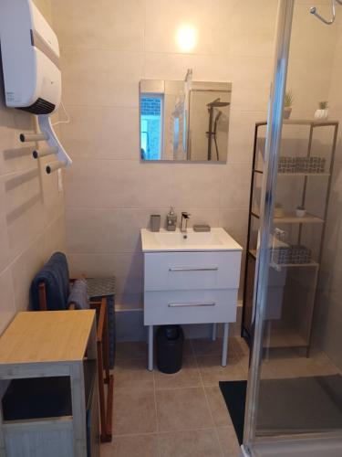 a bathroom with a white sink and a mirror at Chez Arthur et Cie in Luxeuil-les-Bains
