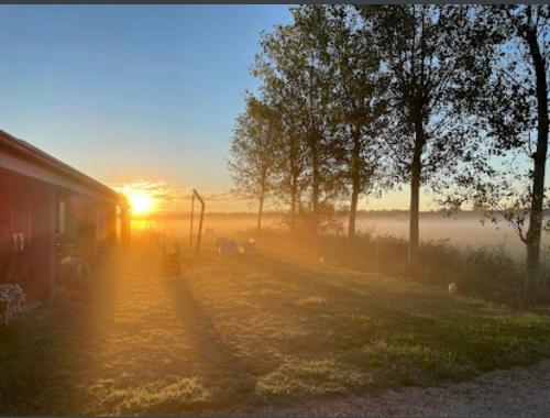 Gallery image of Agriturismo Ca' Pisani in Porto Viro