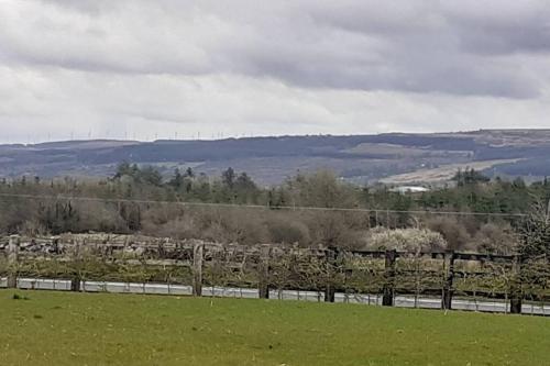 a field with a fence and a field of grass at Ballylee in Galway