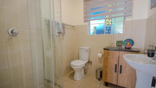 uma casa de banho com um WC e um lavatório em The Lemon Tree Oasis - Solar em Centurion