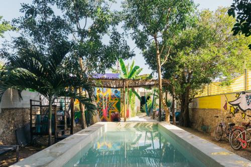 a swimming pool in a park with trees and graffiti at Guaya Hostel in Mérida