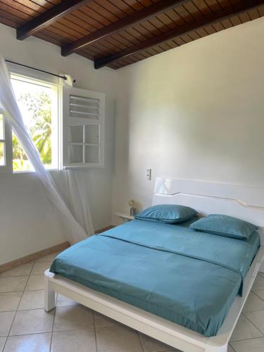 1 dormitorio con cama con sábanas azules y ventana en Villa corail, en Lamentin