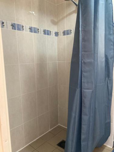 łazienka z prysznicem z niebieską zasłoną prysznicową w obiekcie Appartement Val de Roland w mieście Luz-Saint-Sauveur