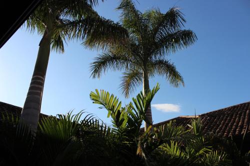 two palm trees in front of a house at Hotel Colonial Victonella in Granada
