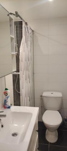 een witte badkamer met een toilet en een wastafel bij 2 pièces 38 M2 Francheville in Francheville