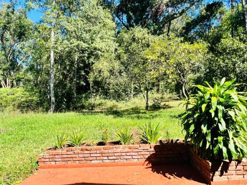 uma parede de tijolos com uma planta num campo em Casa de Campo La Olivia em Eldorado