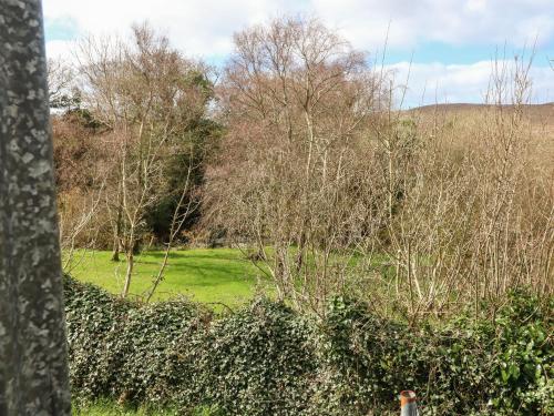 a grassy field with trees in the background at Shoemaker's Rest in Beara Peninsula