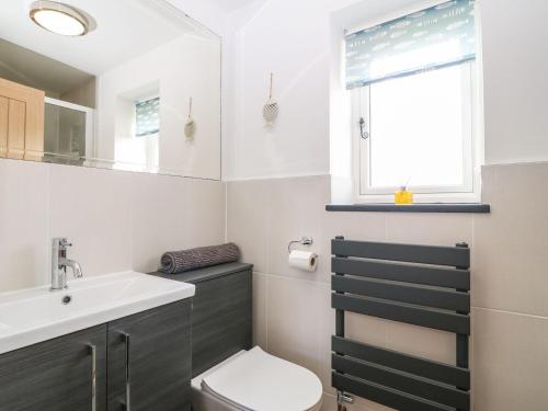 łazienka z toaletą, umywalką i oknem w obiekcie Pip's Barn w mieście Brynteg