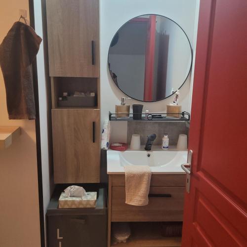 une salle de bain avec un lavabo et un miroir dans l'établissement Chambre chez l habitant...maison Zen Zen, à Brévonnes