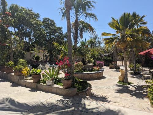 Κήπος έξω από το Hacienda De Palmas