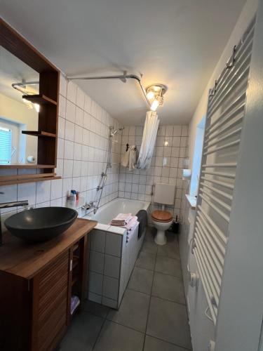 un bagno con lavandino e WC di Charmantes Ferienhäuschen zwischen München und Augsburg a Ried
