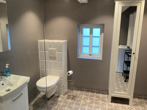 a bathroom with a toilet and a sink and a window at Högklint Rövar Liljas Apartment in Visby