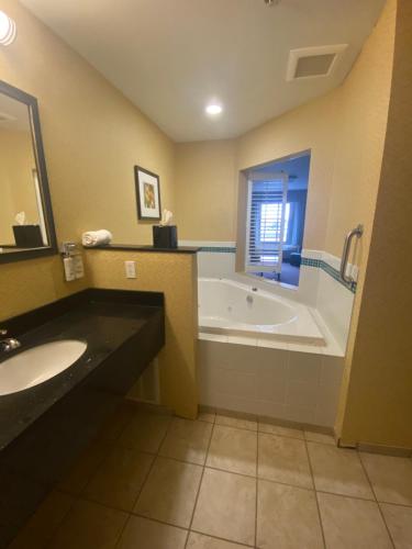 ein Badezimmer mit einer Badewanne und einem Waschbecken in der Unterkunft Holiday Inn Express and Suites Detroit North-Troy, an IHG Hotel in Troy