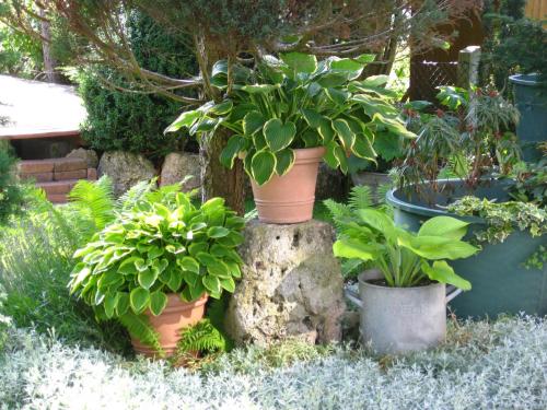 a group of potted plants sitting on a tree stump at komf.Ferienwohnung Elisabeth (1.Stock) in Weilheim, m.Garten, zwischen München u. Garmisch-P. in Weilheim in Oberbayern